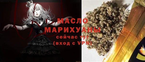 мдпв Ельня