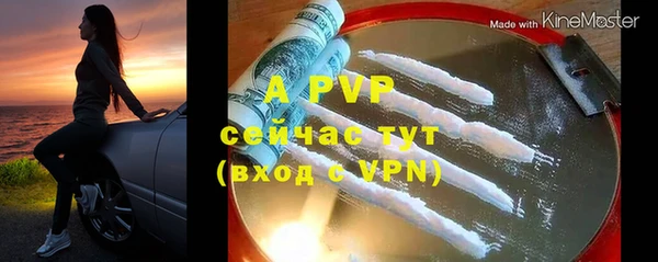 эйфоретик Елизово