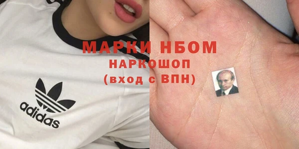 мдпв Ельня