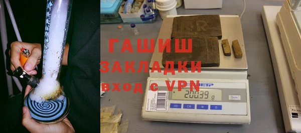 мдпв Ельня