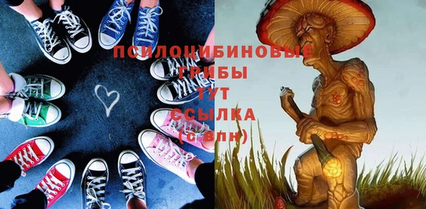 spice Елабуга