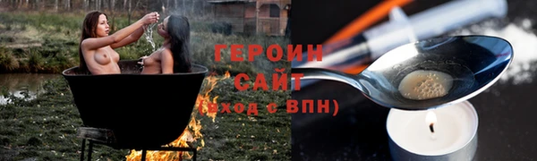 мдпв Ельня