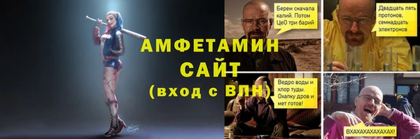 мдпв Ельня