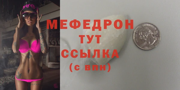 мдпв Ельня