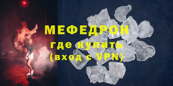 мдпв Ельня