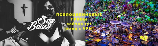 мдпв Ельня