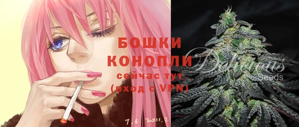 ALPHA-PVP Чегем