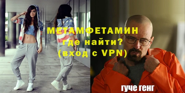 мдпв Ельня