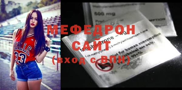 мдпв Ельня