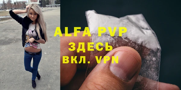 мдпв Ельня